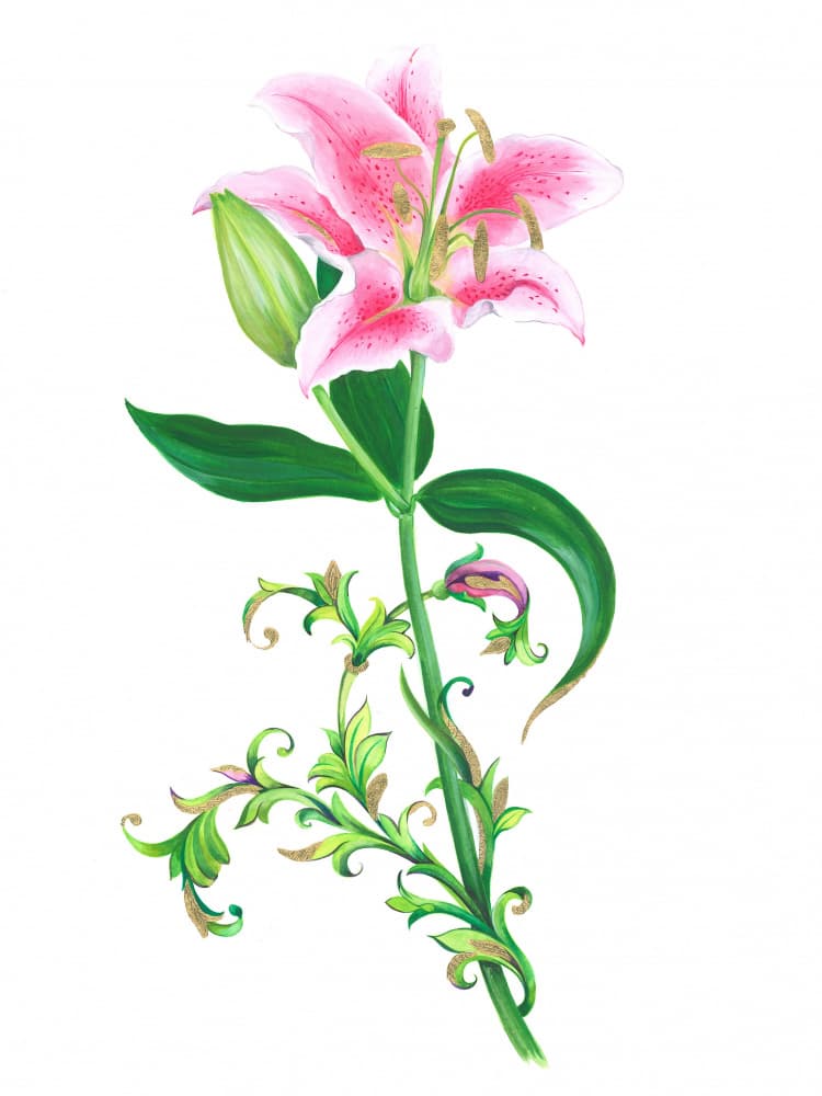 pink lily by Isabelle Brent — canvas wall art