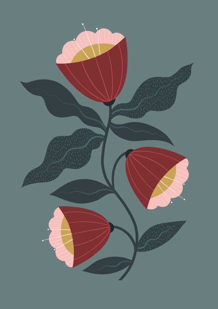 Dark Flora by Melissa Donne — canvas wall art