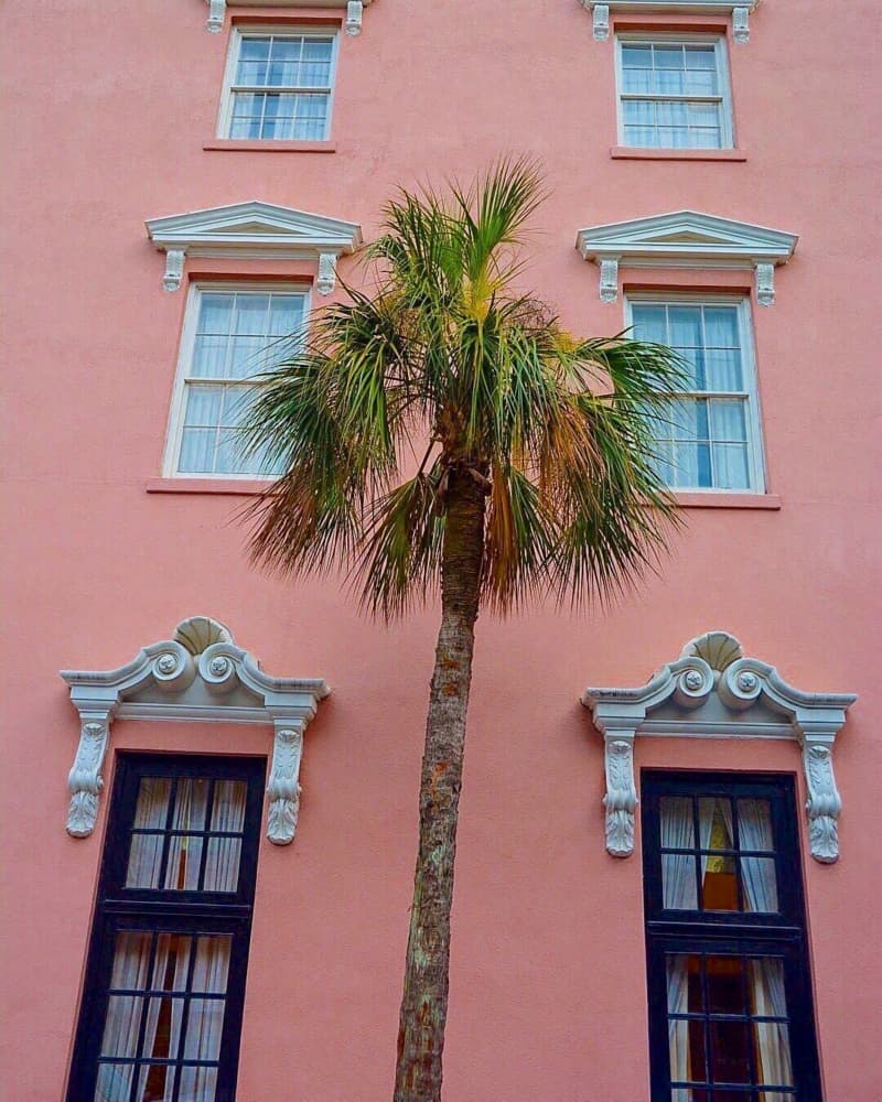 Pink Building Palm Tree by Del Mundo Imagery — canvas wall art