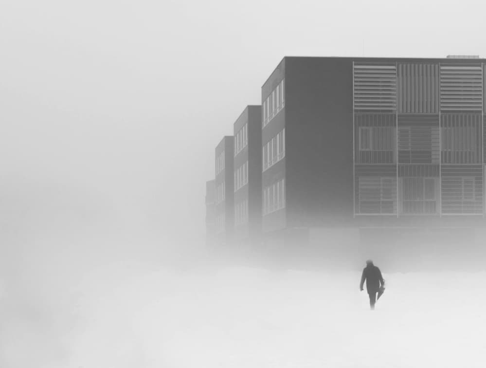 Solitary Fog Walk by Nina Vidmar — canvas wall art