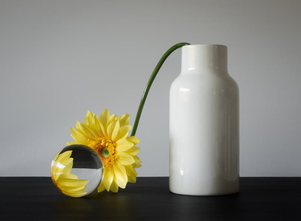 Yellow Flower Reflection by Jacqueline Hammer — canvas wall art