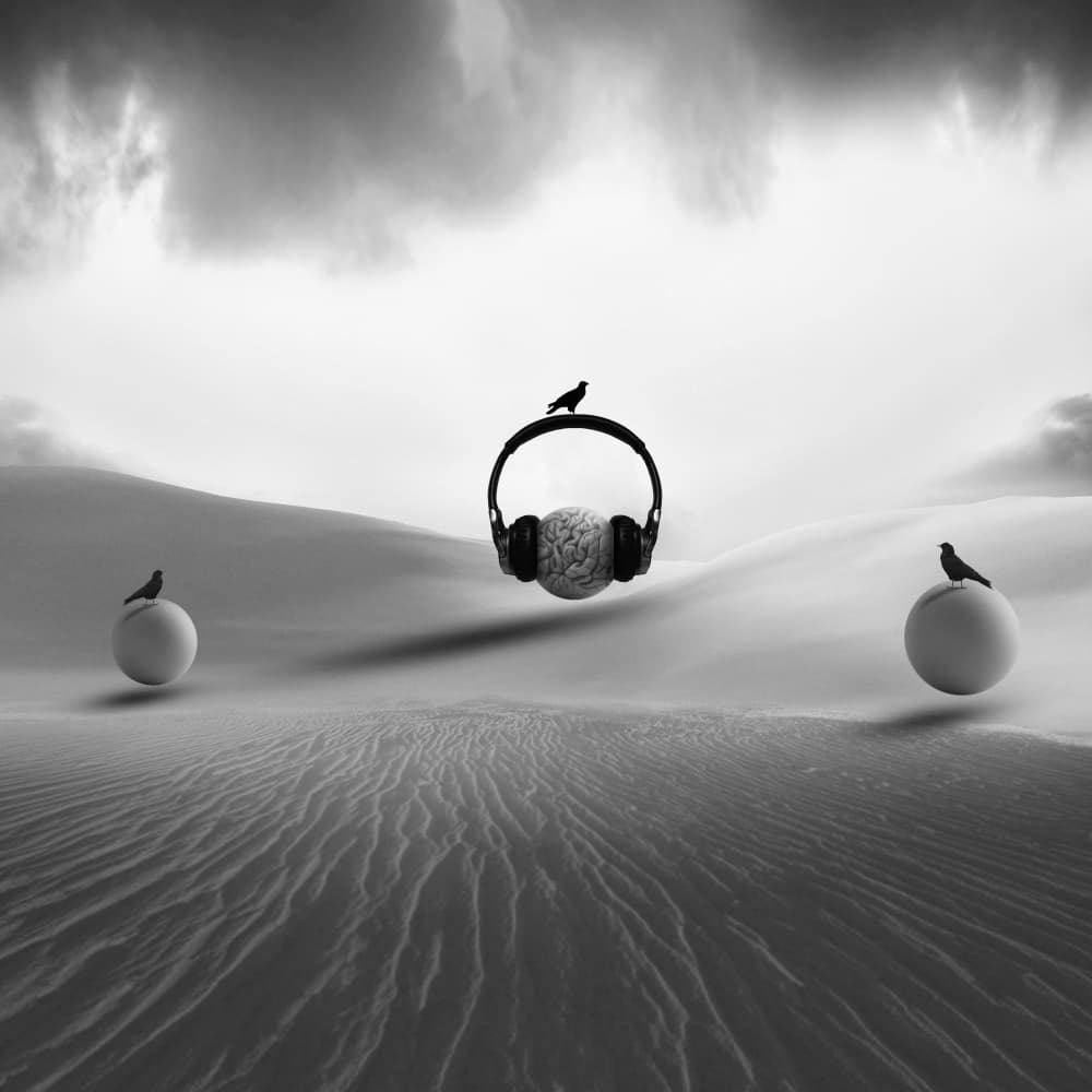 Desert Mind Music by Hadi Malijani (Malenjani) — canvas wall art