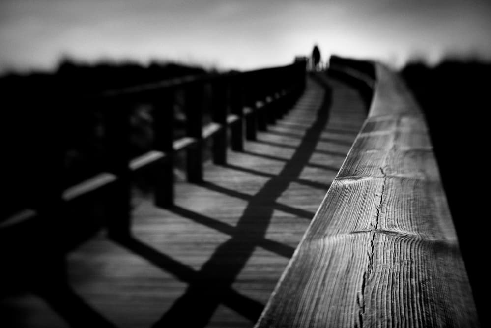 Winding Wooden Path by Nuno Borges — canvas wall art