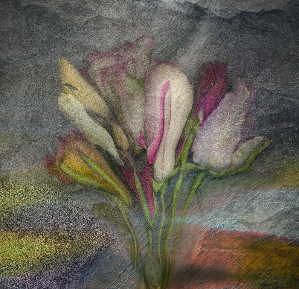 Elegant Textured Flowers by Harry Verschelden — canvas wall art