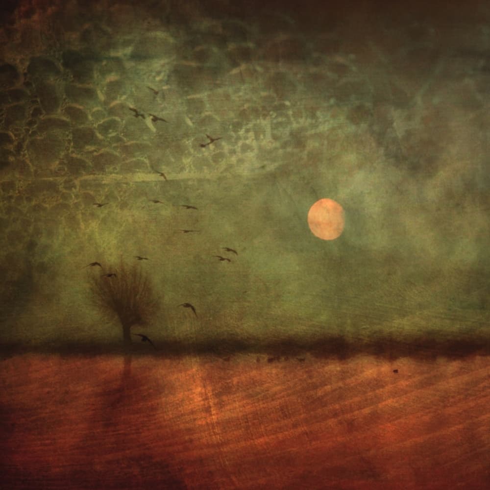 Moody Moonlit Landscape by Robert Fabrowski — canvas wall art