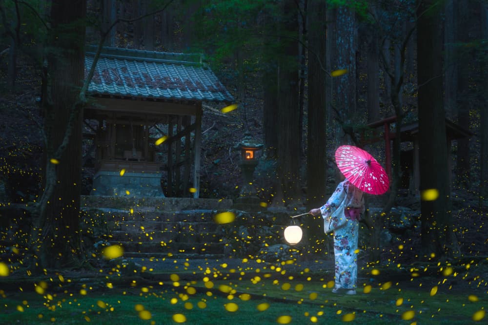 Enchanted Firefly Forest by Vu van quan — canvas wall art