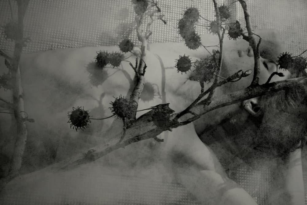 Dreamer in Nature by Olga Mest — canvas wall art