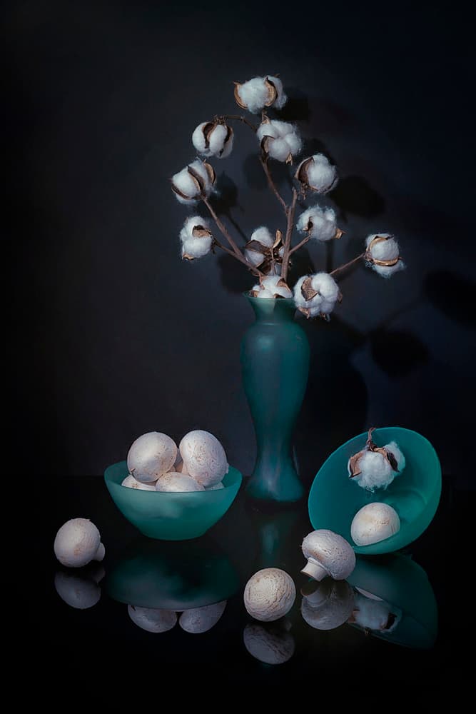 Cotton and Mushroom Still Life by Lydia Jacobs — canvas wall art