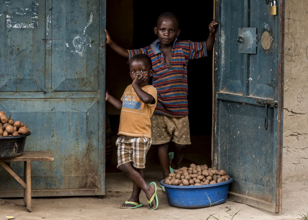Curious Village Boys by Giuseppe DAmico — canvas wall art