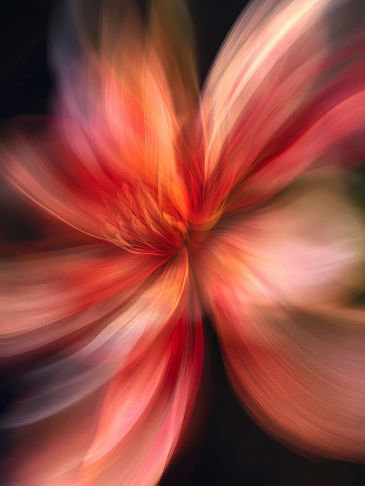 Vibrant Floral Swirl by Bilge Paksoylu — canvas wall art