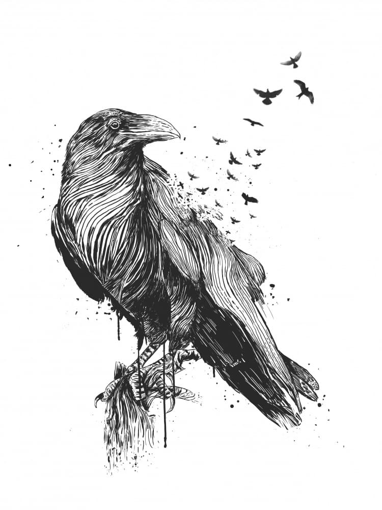 Ink Raven Flight by Balazs Solti — canvas wall art
