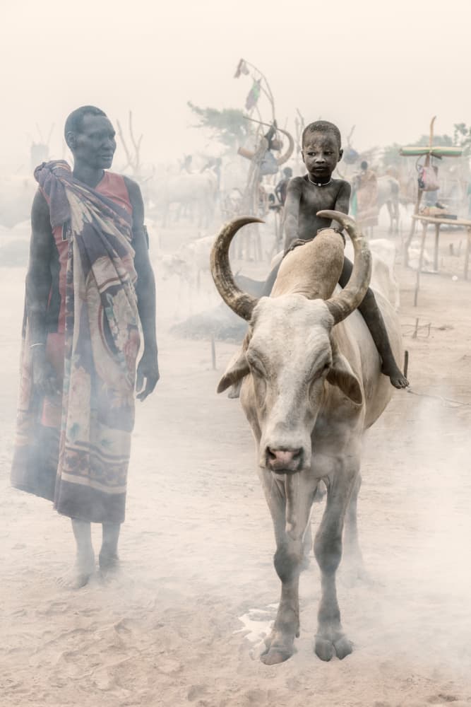 African Boy on Cow by Trevor Cole — canvas wall art