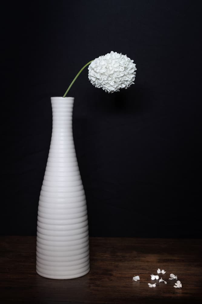 Minimal White Flower by Giorgio Toniolo — canvas wall art
