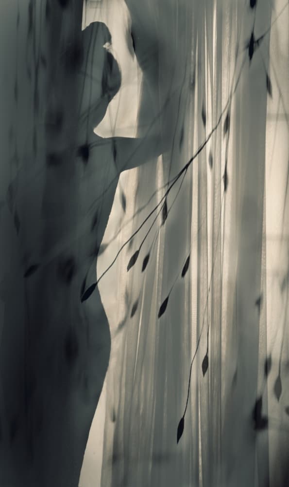 Serene Silhouette with Bird by Sahar Karami — canvas wall art