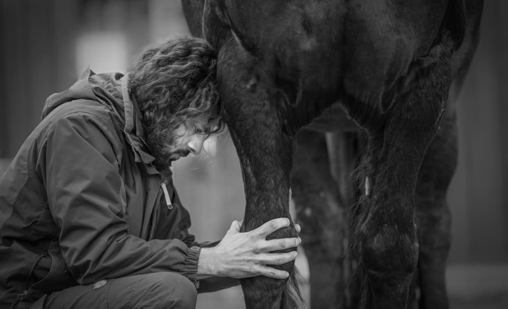 Deep Equine Bond by Sebastian Graf — canvas wall art