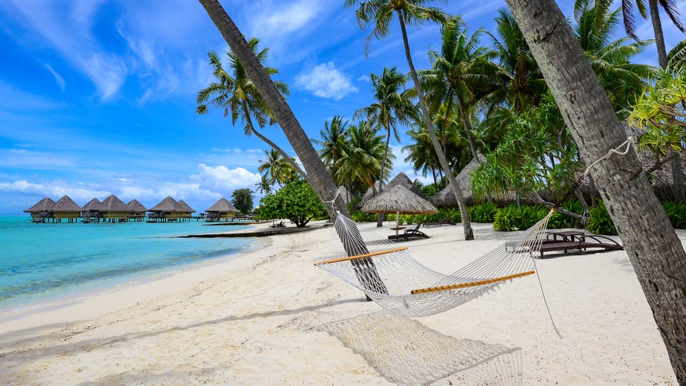 Tropical Beach Paradise by Mike Leske — canvas wall art
