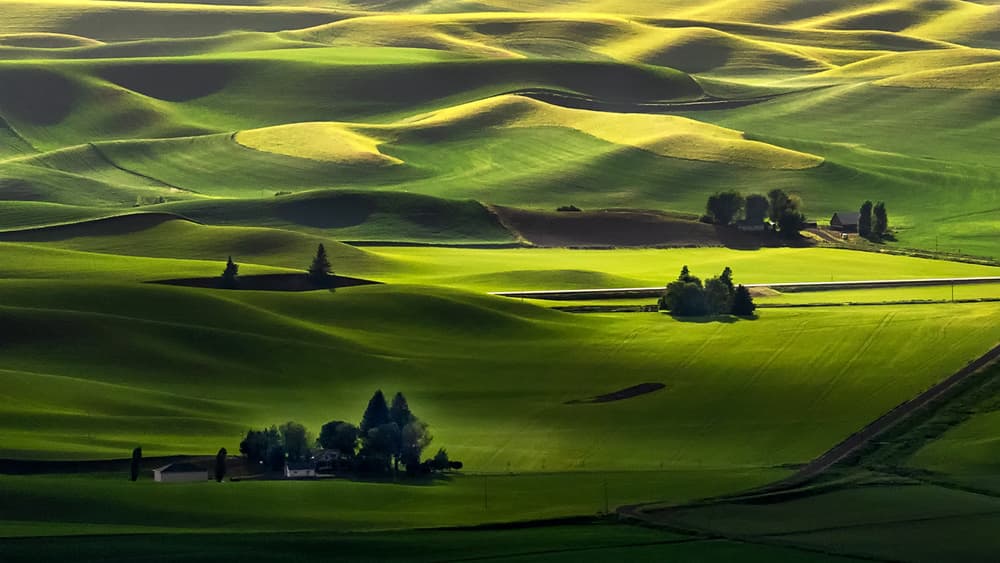 Sunlit Rolling Green Hills by Annie Poreider — canvas wall art