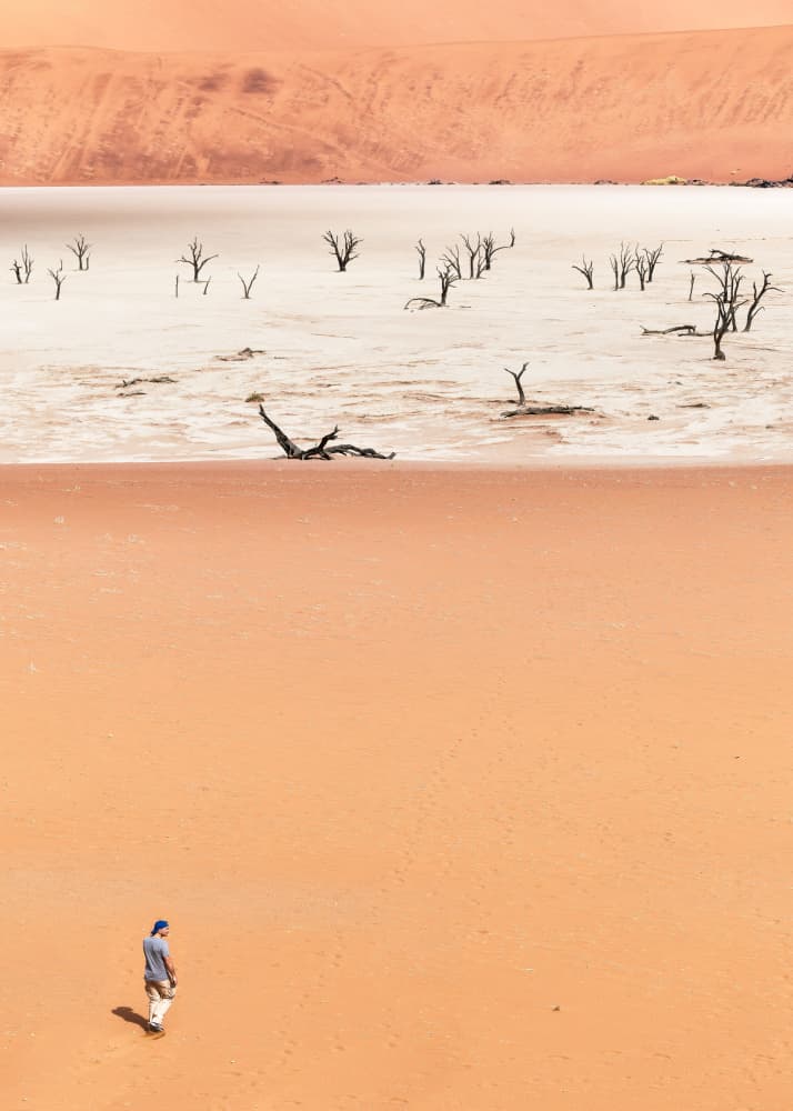 Man In Vast Desert by Marco Tagliarino — canvas wall art