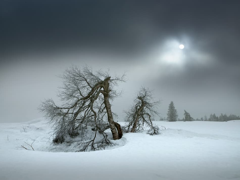 Winter Sun Through Mist by Nicolas Schumacher — canvas wall art