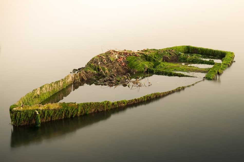 Tranquil Moss Boat by Antonio Bonnin Sebastià — canvas wall art
