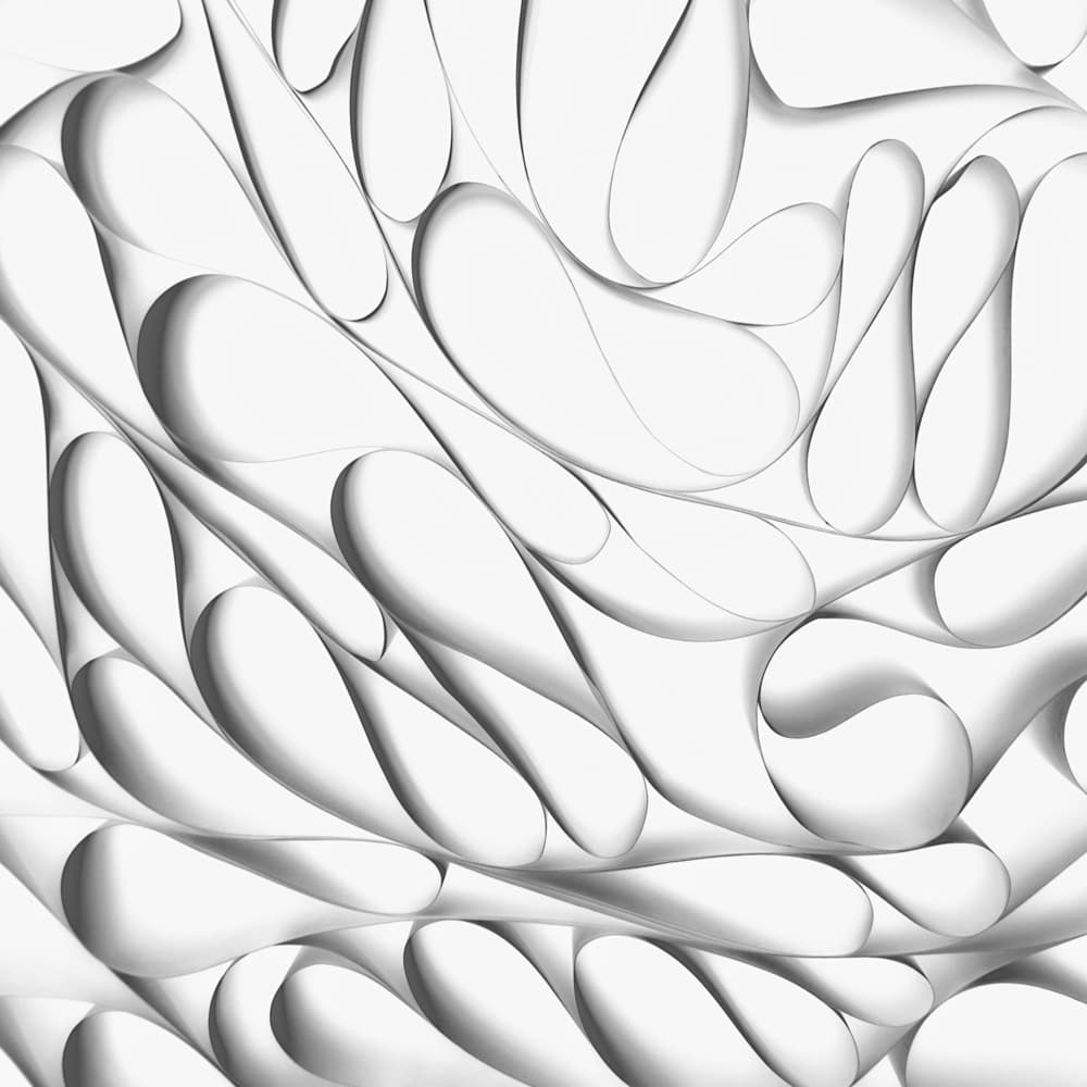 Flowing Organic Shapes by Zbyněk Cincibus — canvas wall art