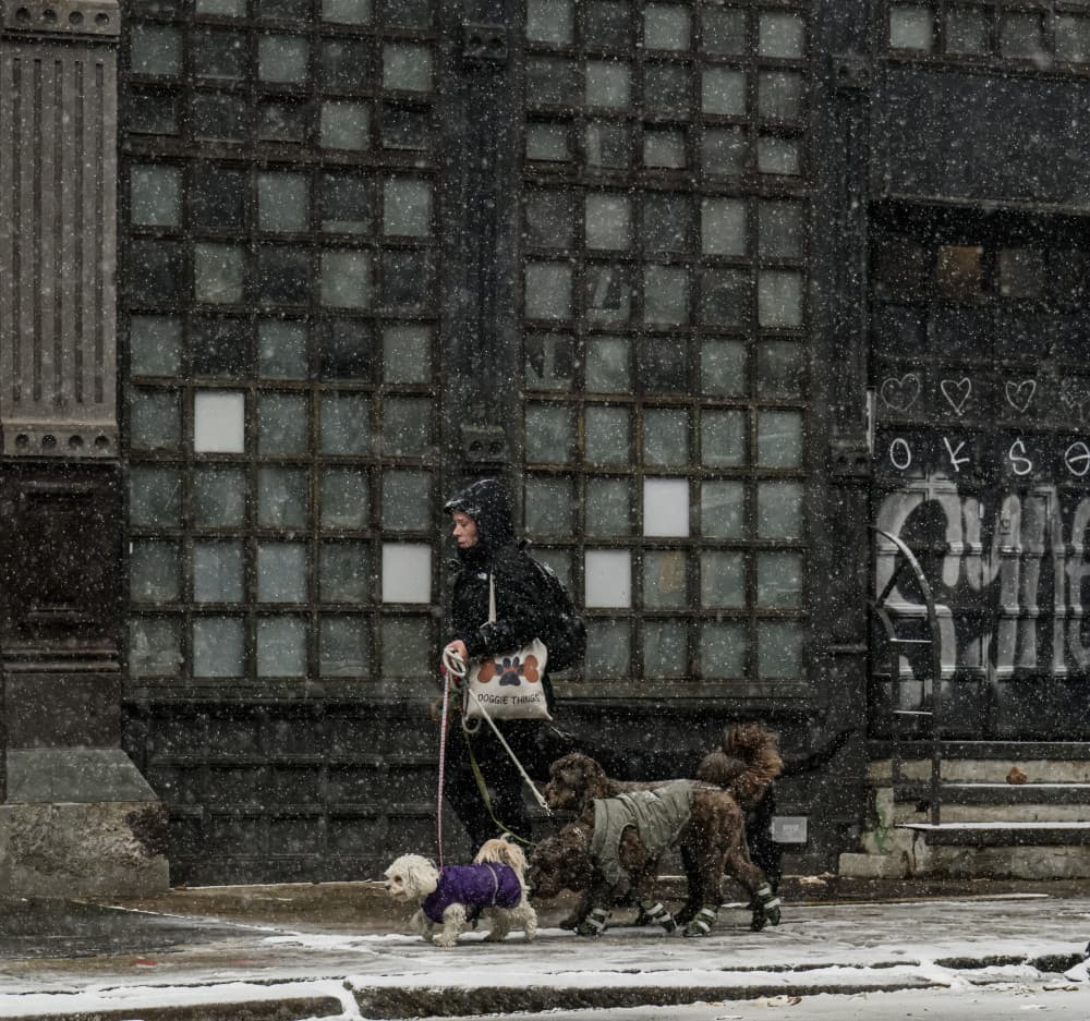 Snowy City Stroll by Tong Zhang — canvas wall art