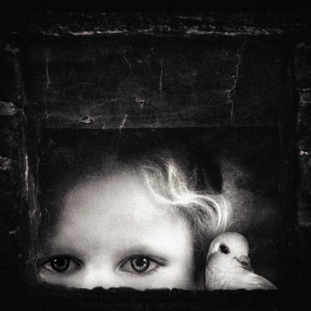 Innocent Eyes and Dove by Piet Flour — canvas wall art