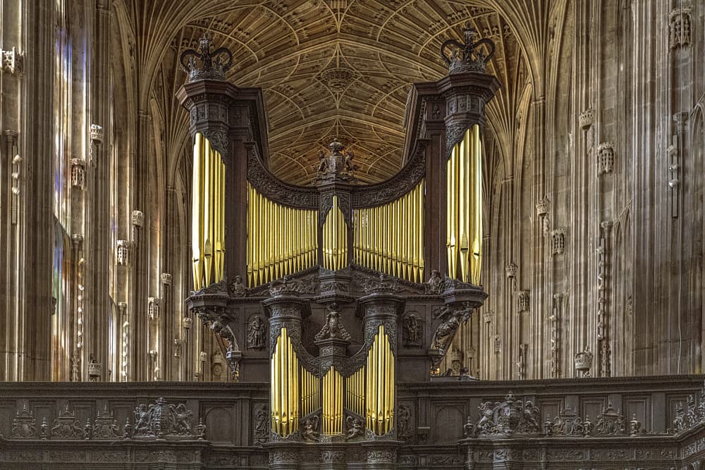 Gothic Cathedral Organ by Jois Domont ( J.L.G.) — canvas wall art
