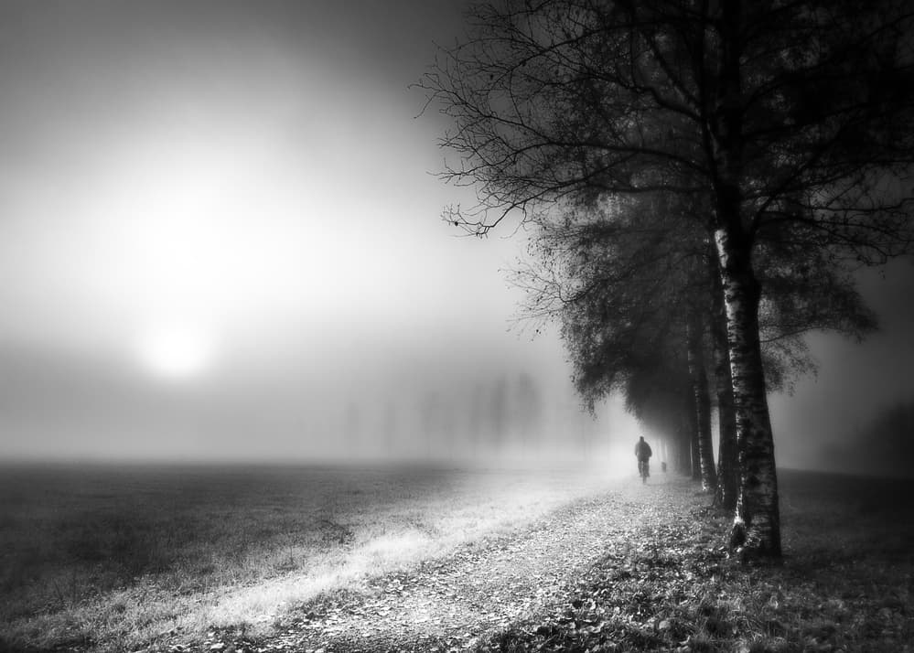Path Through Morning Fog by Corry DeLaan — canvas wall art