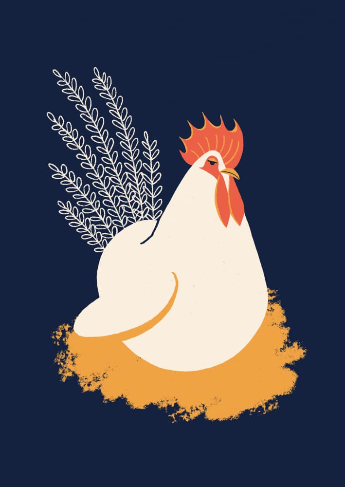 Calm Farm Rooster by Monika Gregulska — canvas wall art