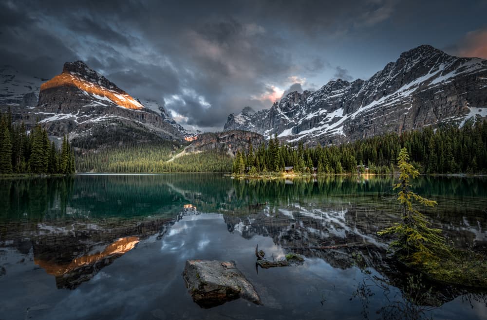 Golden Mountain Reflection by Bing Li — canvas wall art