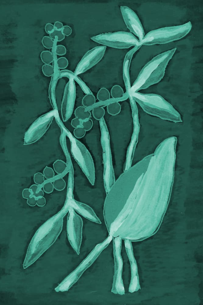 Deep Green Botanicals by Lori Ann Folz — canvas wall art