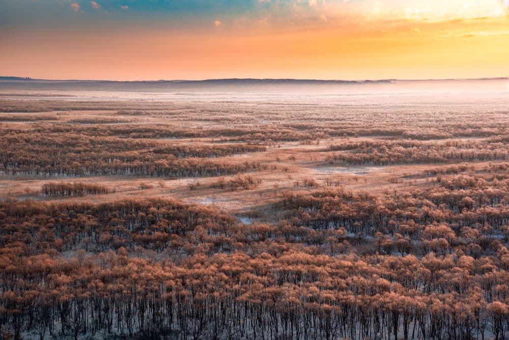Golden Winter Morning by Twenty Eight — canvas wall art