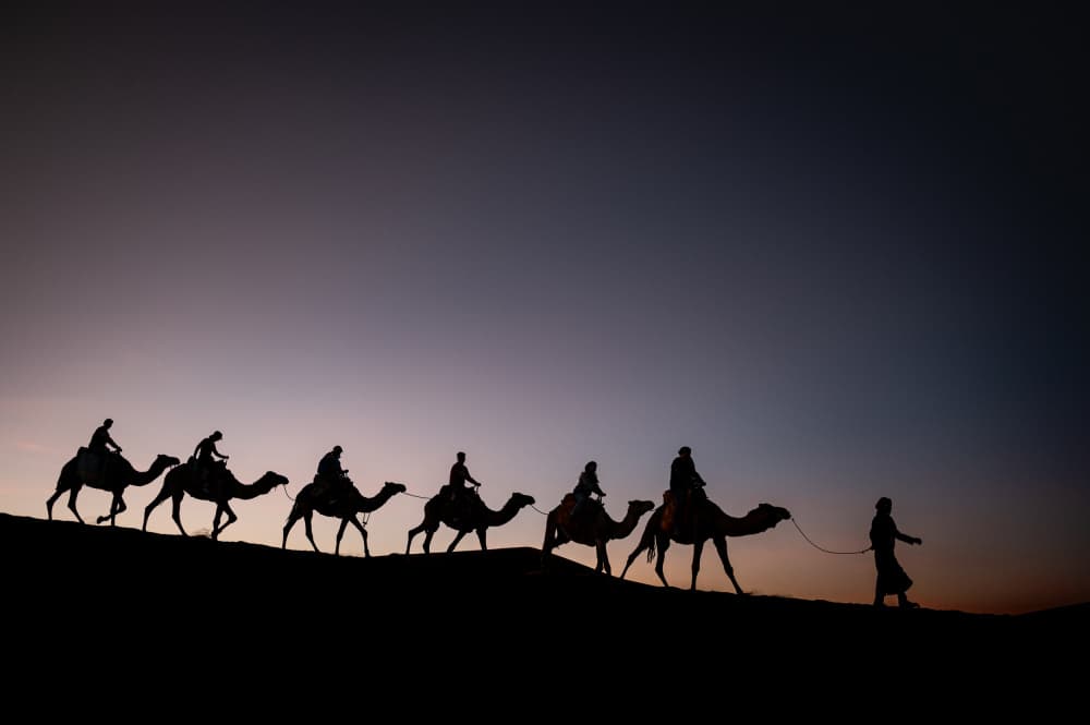 Sunset Camel Caravan by Andrei Baisan — canvas wall art