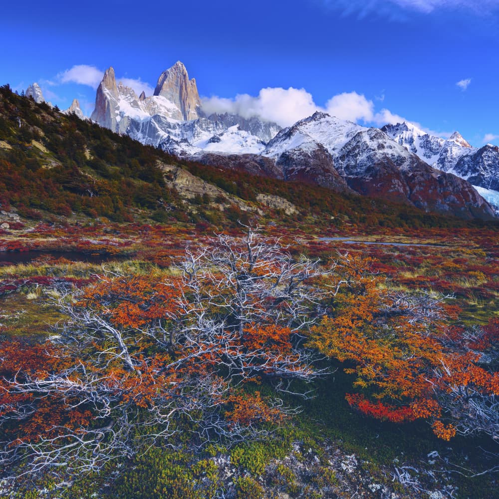 Colorful Fitz Roy Mountains by mihai ian nedelcu — canvas wall art