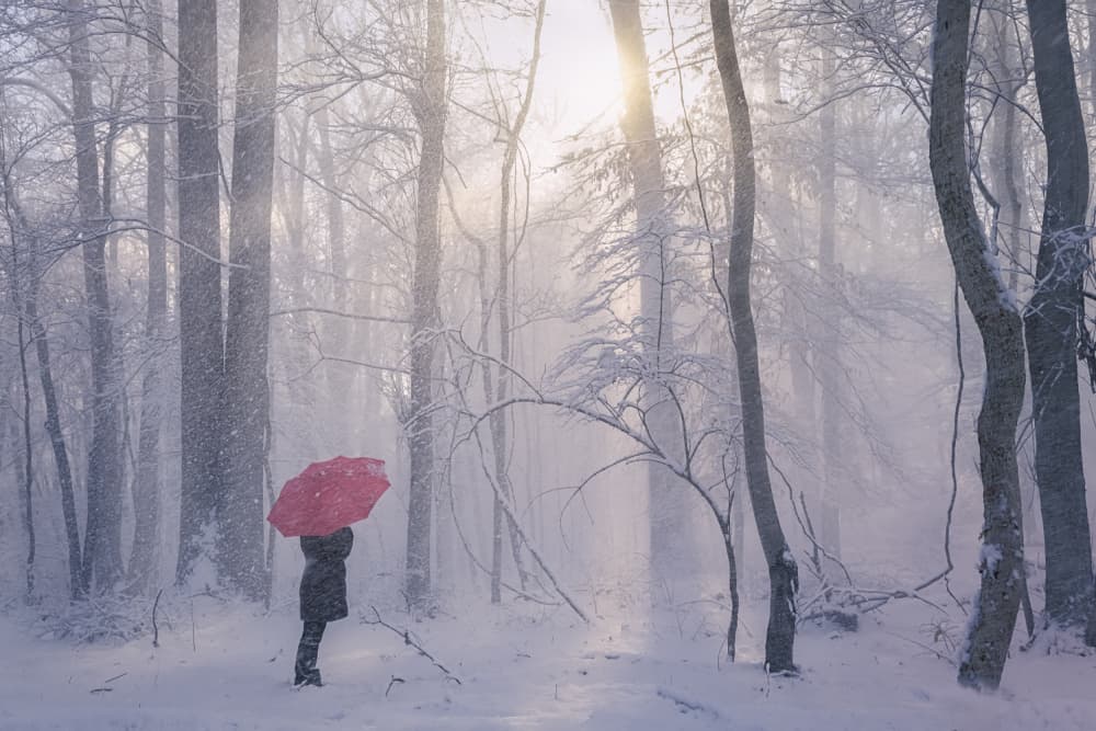 Winter's Red Umbrella by Liguang Huang — canvas wall art