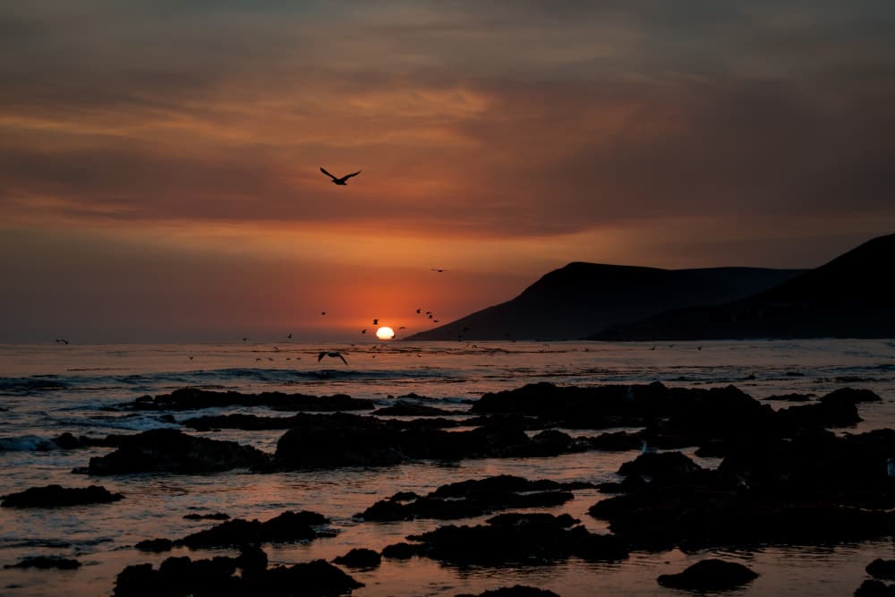 Serene Coastal Sunset by Tim Mossholder — canvas wall art