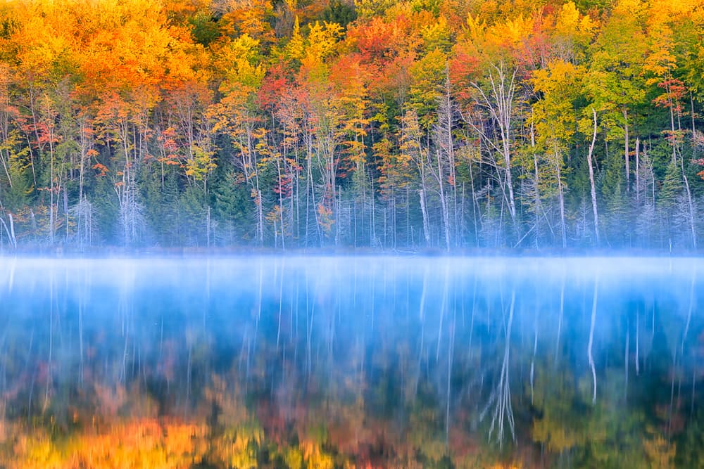 Misty Autumn Lake Reflections by Yimei Sun — canvas wall art