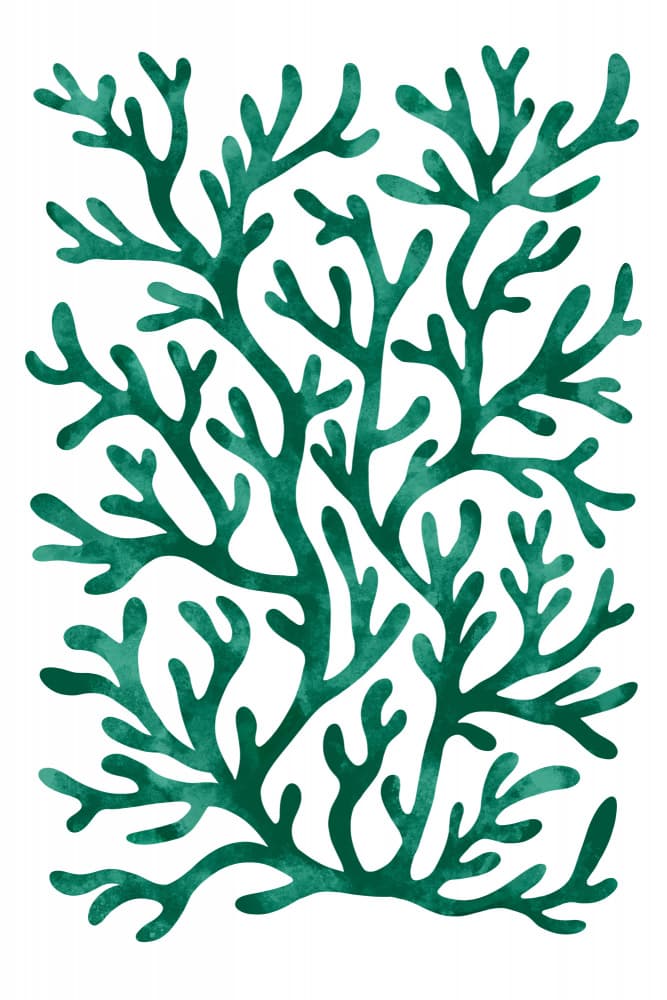 Organic Green Coral by EMELIEmaria — canvas wall art