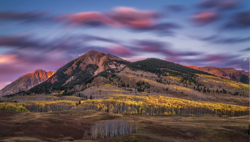 Vibrant Aspen Twilight by Jenny Qiu — canvas wall art