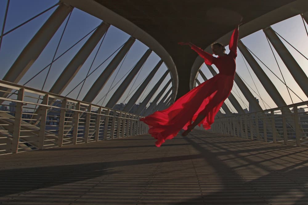 Floating Red Dress by Anna Kogan — canvas wall art