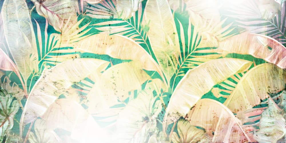 Sunlit Tropical Foliage by Rafal Kulik — canvas wall art