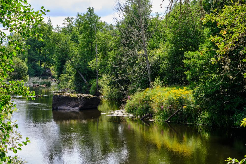 Peaceful Forest River by Geertjan Plooijer — canvas wall art