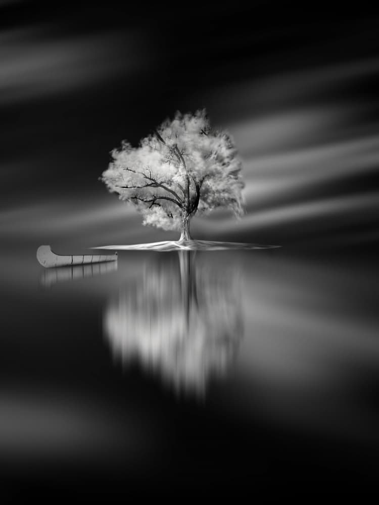 Solitary Island Tree by David Senechal Photographie (polydactyle) — canvas wall art