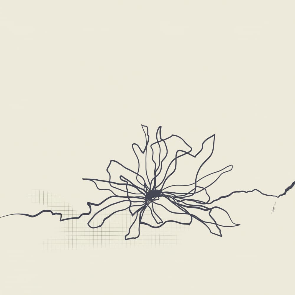 Minimalist Floral Sketch by Ankie Kooi — canvas wall art