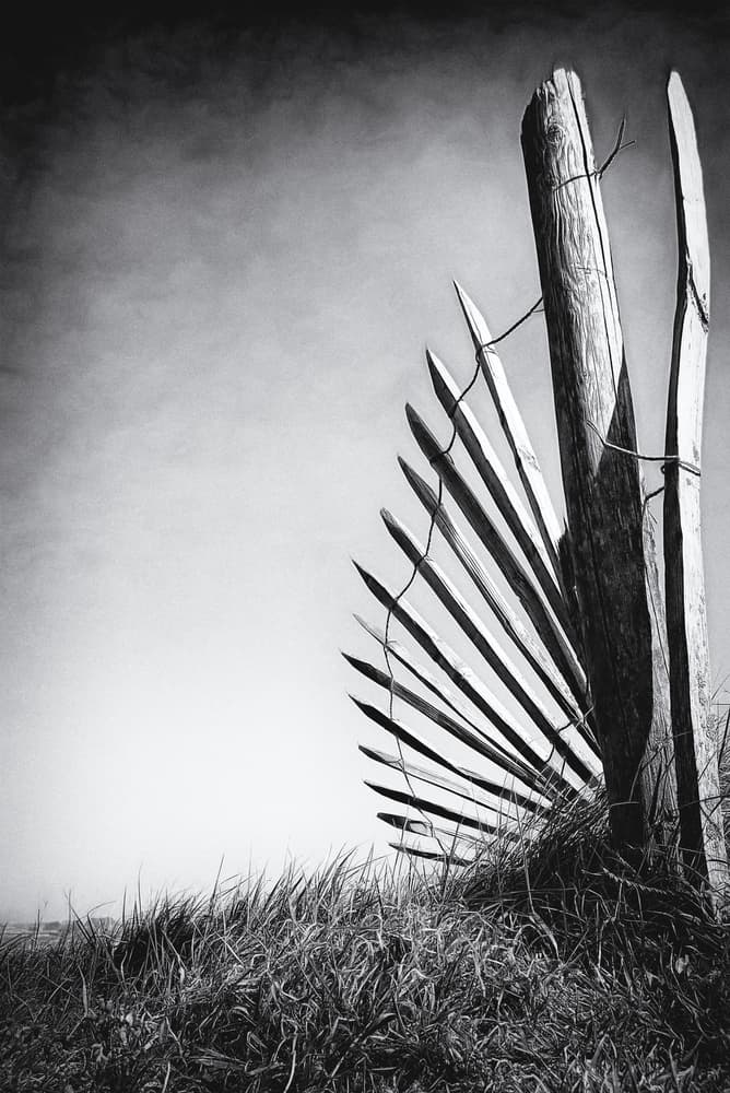 Weathered Dune Fence by Bruno Flour — canvas wall art