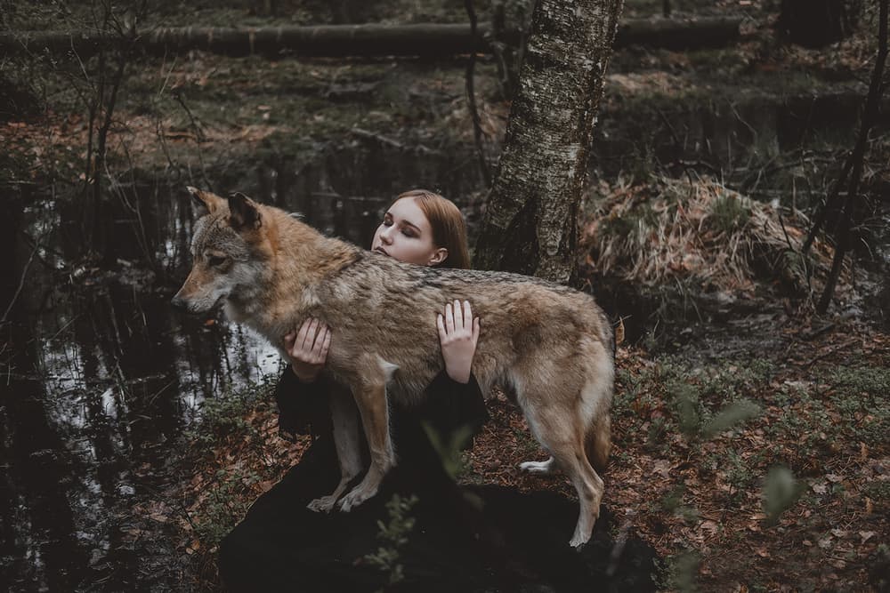 Mysterious Forest Bond by Olga Barantseva — canvas wall art