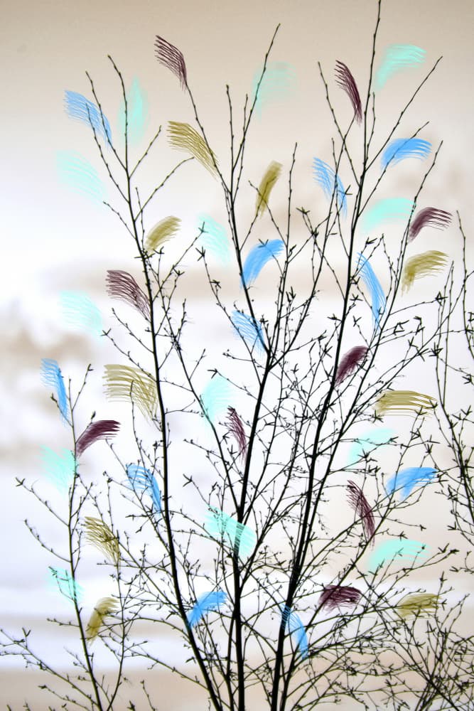 Colorful Abstract Branches by Christina Sillen — canvas wall art