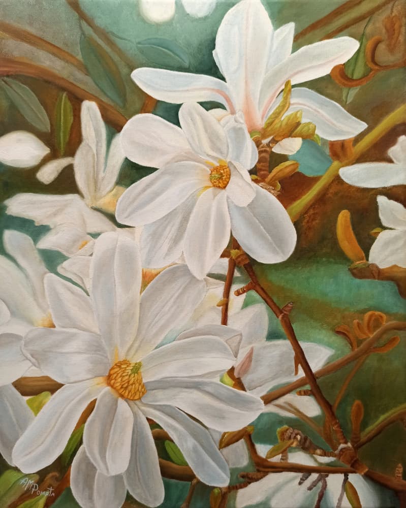 Blooming White Magnolia by Angeles M. Pomata — canvas wall art