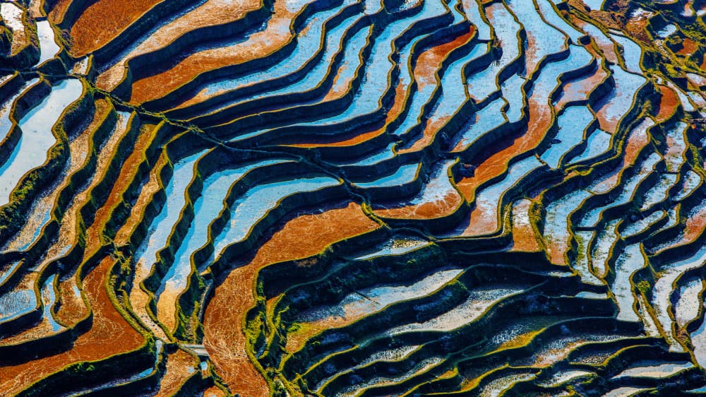 Vibrant Terraced Fields by Shin Woo Ryu — canvas wall art